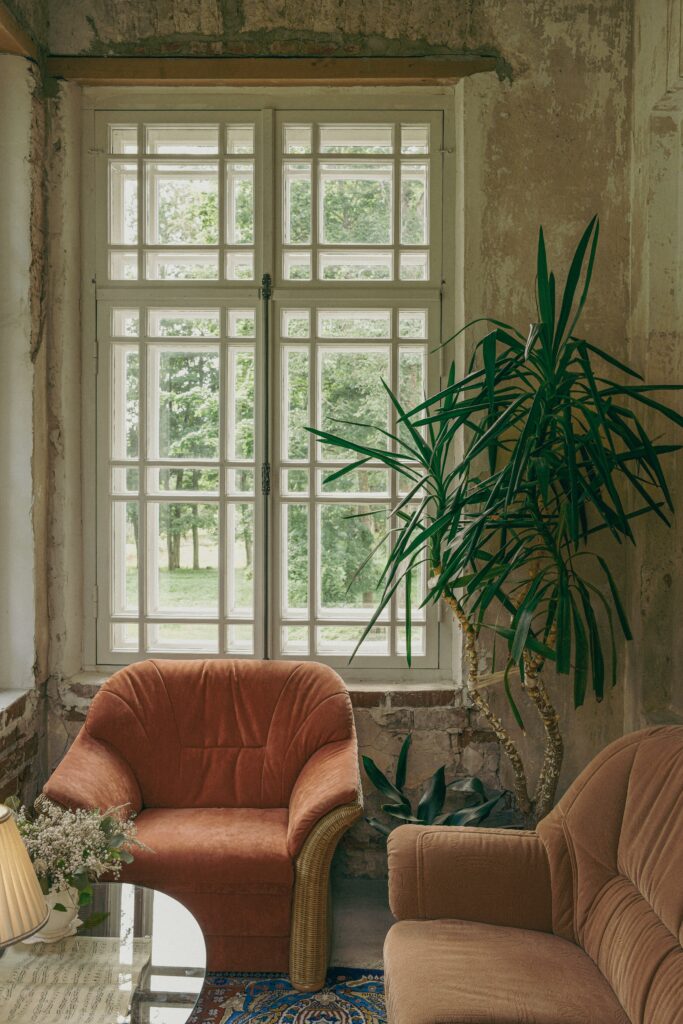 Two comfortable armchairs beside a large window with indoor plants while getting older